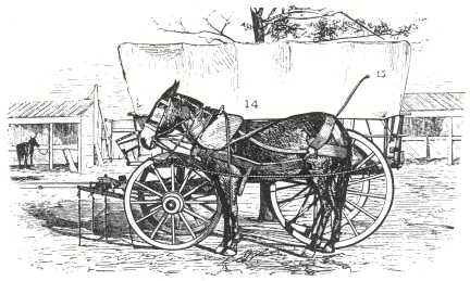 Illustration No. 14 (100k)