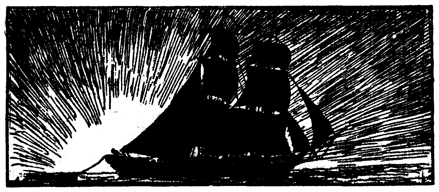 Las Inquietudes de Shanti And�a