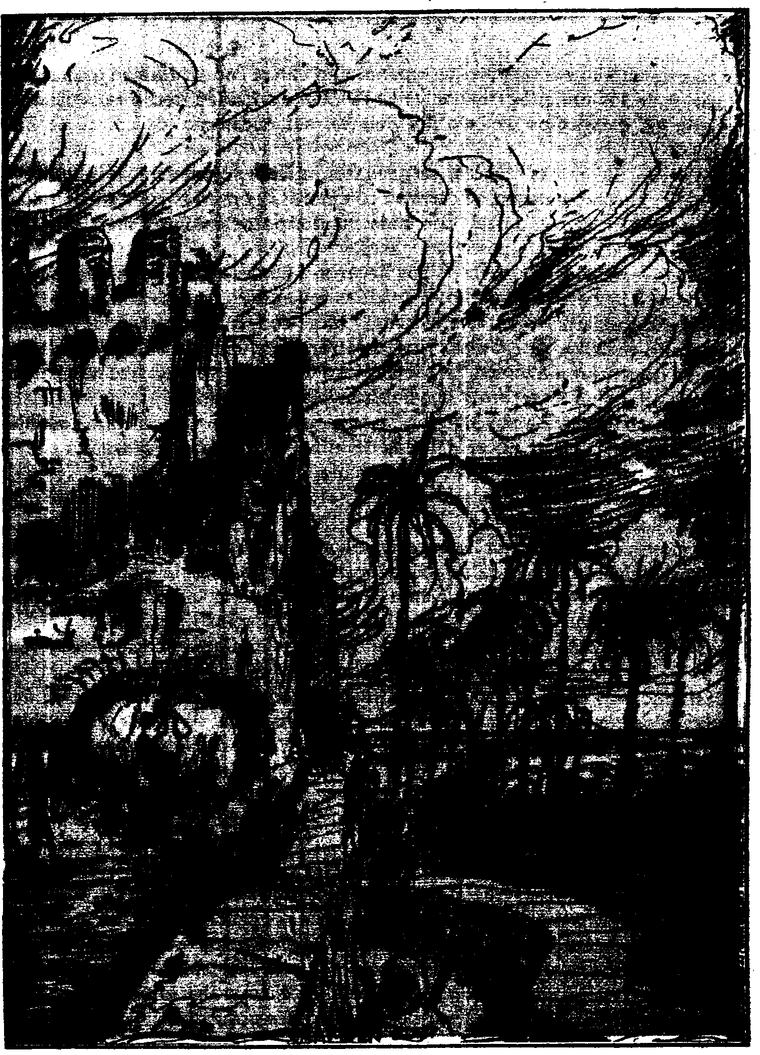 Las Inquietudes de Shanti And�a