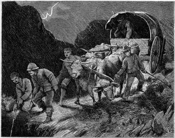 Gef&auml;hrlicher Nachtmarsch.