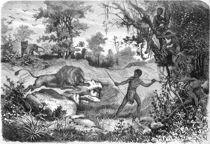 Von Masarwa's gest&ouml;rtes L&ouml;wenmahl.