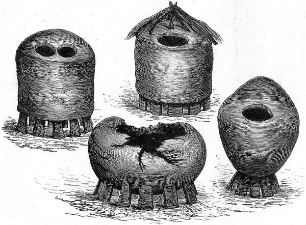 Korngef&auml;&szlig;e der Bamangwato's.