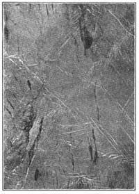 FIG. 33.&mdash;Mineral matter precipitated from solution is
deposited in crevices and forms veins.