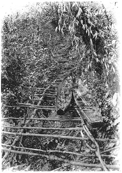 Br&uuml;cke &uuml;ber eine Schlucht.