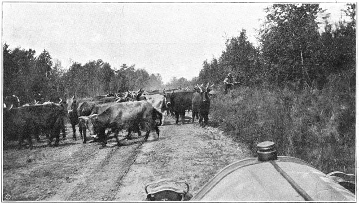 Ontmoeting in Siberi&euml;.