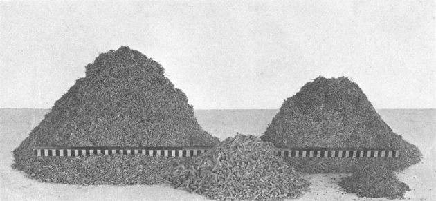 Plate VII. Fig. 2.&mdash;Content of Excavated Den.