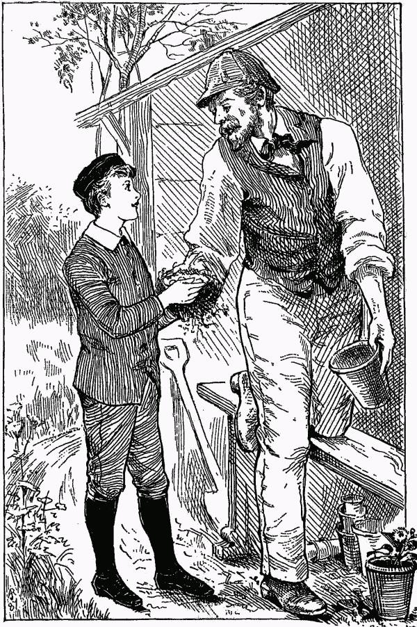 JACK AND THE THRUSH'S NEST.

Page 36.