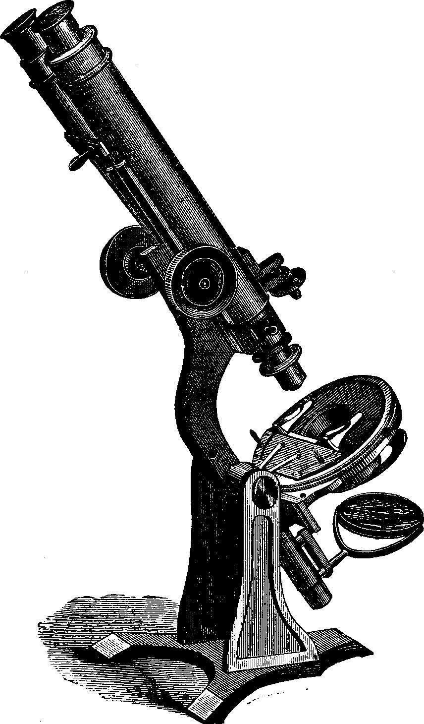 Illustration:
Binocular Microscope