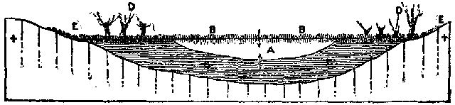 Fig. 18.&mdash;Diagram showing development of swamp: A,
remains of lake; B, surface growth; c, peat.