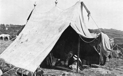 TENT OF AN ALGERIAN SHE�KH.