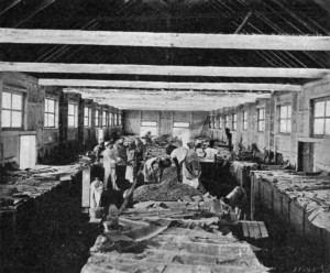 CACAO IN THE FERMENTING TRUCKS, SAN THOM&Eacute;.
The covering of banana leaves keeps the beans warm.