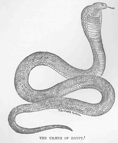 042.jpg the Ur�us of Egypt. 1 