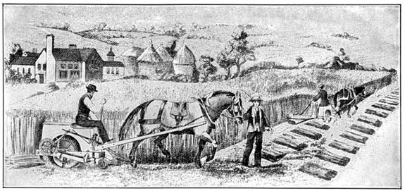 Hussey's Side-Delivery Reaper As Used in England. (From An
Old Print)