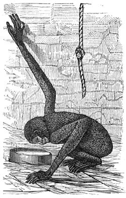 Fig. 320.&mdash;De eerste spiegel.