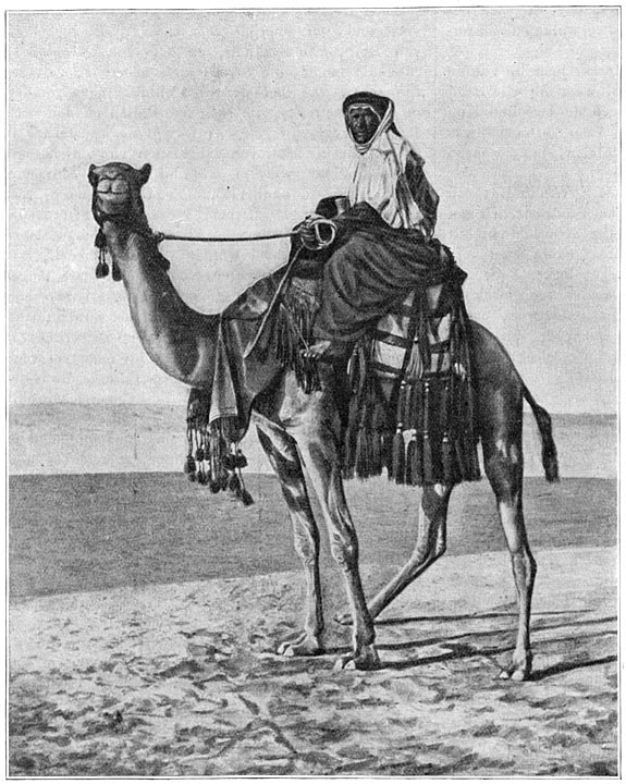 De Nubi&euml;r en zijn ros.