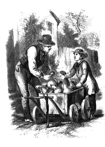 Hurrah for the
squash-peddler