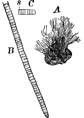 Fig.&nbsp;6.