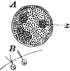 Fig.&nbsp;10.
