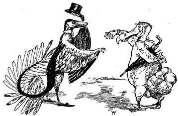 "'Charmed to meet you,' said the Arch&aelig;opteryx."