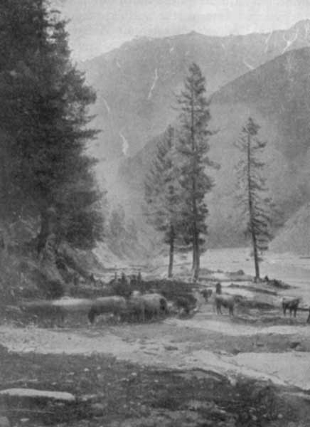 Fig. 8. Near N&aacute;ran in K&aacute;gan Glen, Haz&aacute;ra.