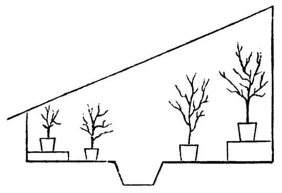 Fig. 57.&mdash;Section.