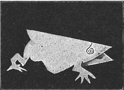 Fig. 86&mdash;The side view of the frog shows his beautiful open mouth.