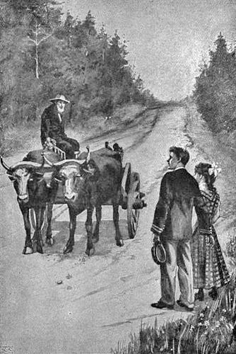 “HELLO SNACKENBERG! HERE AM I! GIVE ME A RIDE?”
Dorothy’s Travels.