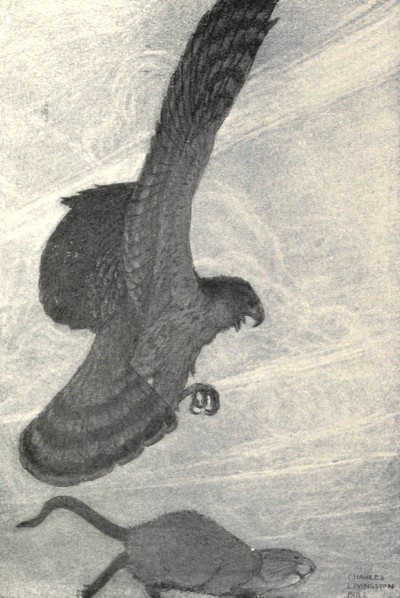 "WITH A SCREAM OF PAIN AND FEAR, THE BIRD DROPPED
HIM."