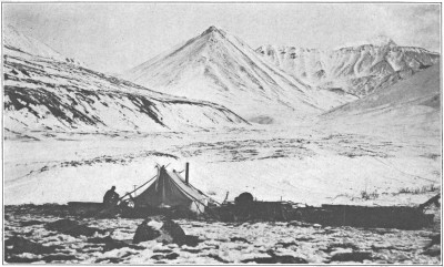 The base camp at about 4,000 feet
on Cache Creek.