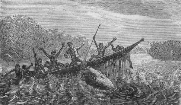 Virtahepo h�tyytt�� Livingstonen venhett�.