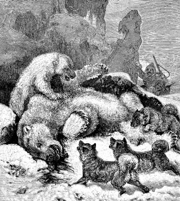 SLAIN IN DEFENSE OF HER YOUNG.