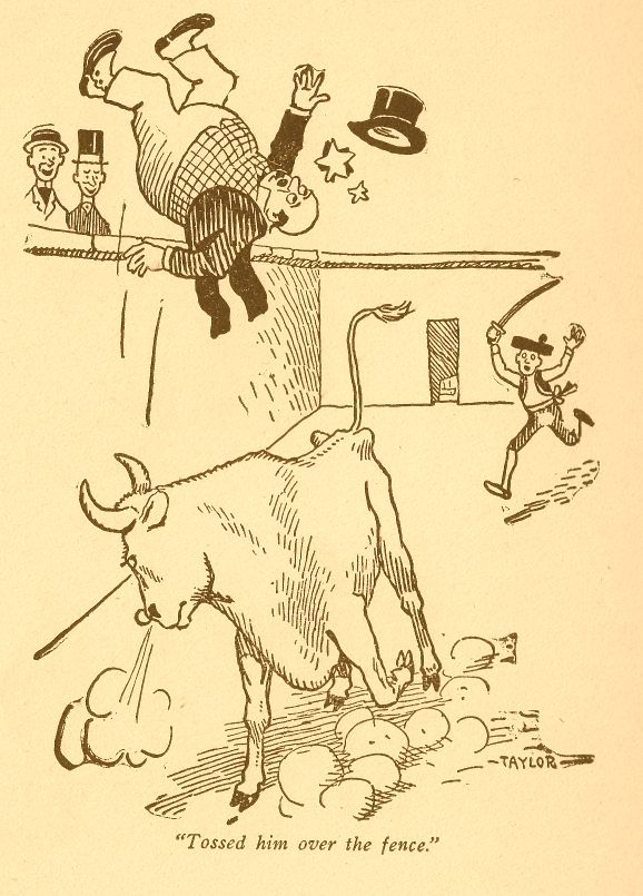 Dad’s Pants Stayed on the Bull’s Horns 349