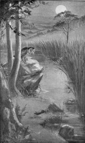 AN OPPORTUNITY CAME, WHICH, HAD SHE BEEN POISED IN THE AIR, COULD
SCARCELY HAVE BEEN MISSED.