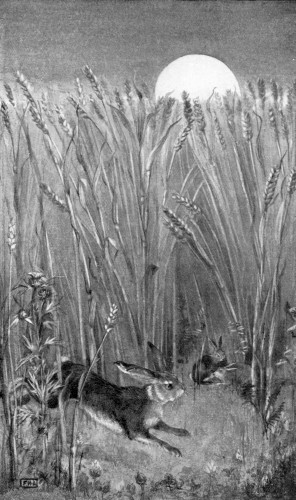 &ldquo;WHEN THE EARLY AUTUMN MOON ROSE OVER THE CORN.&rdquo;