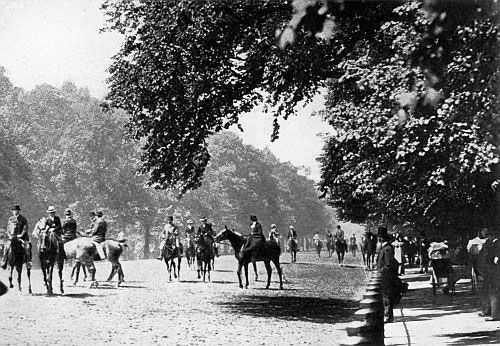Old gentlemen, stout ladies, young people, and small
children, all ride in England.