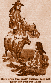 Mary after two years absence does not know her own
Pet Lamb.