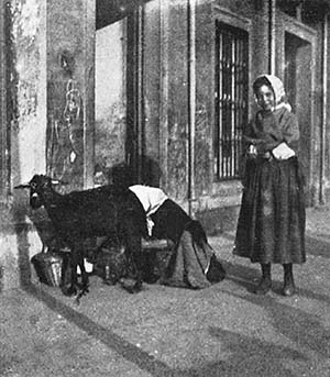 THERE IS A LITTLE MILK-MAID
SERVING MILK.