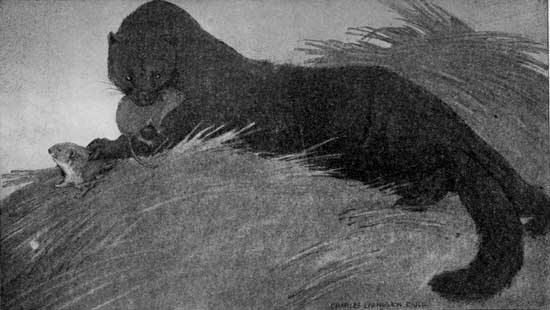 "MADLY JOYOUS, HE KILLED, AND KILLED, AND KILLED, FOR THE
JOY OF KILLING."