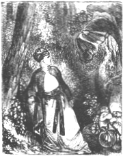 Illustrations of the Stratagem in the Lady Duny&aacute;'s Garden