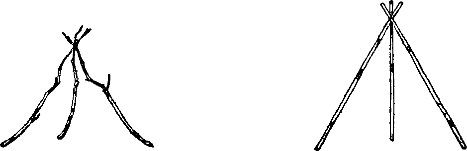 As the First Three Looked
  As They Should Have Looked