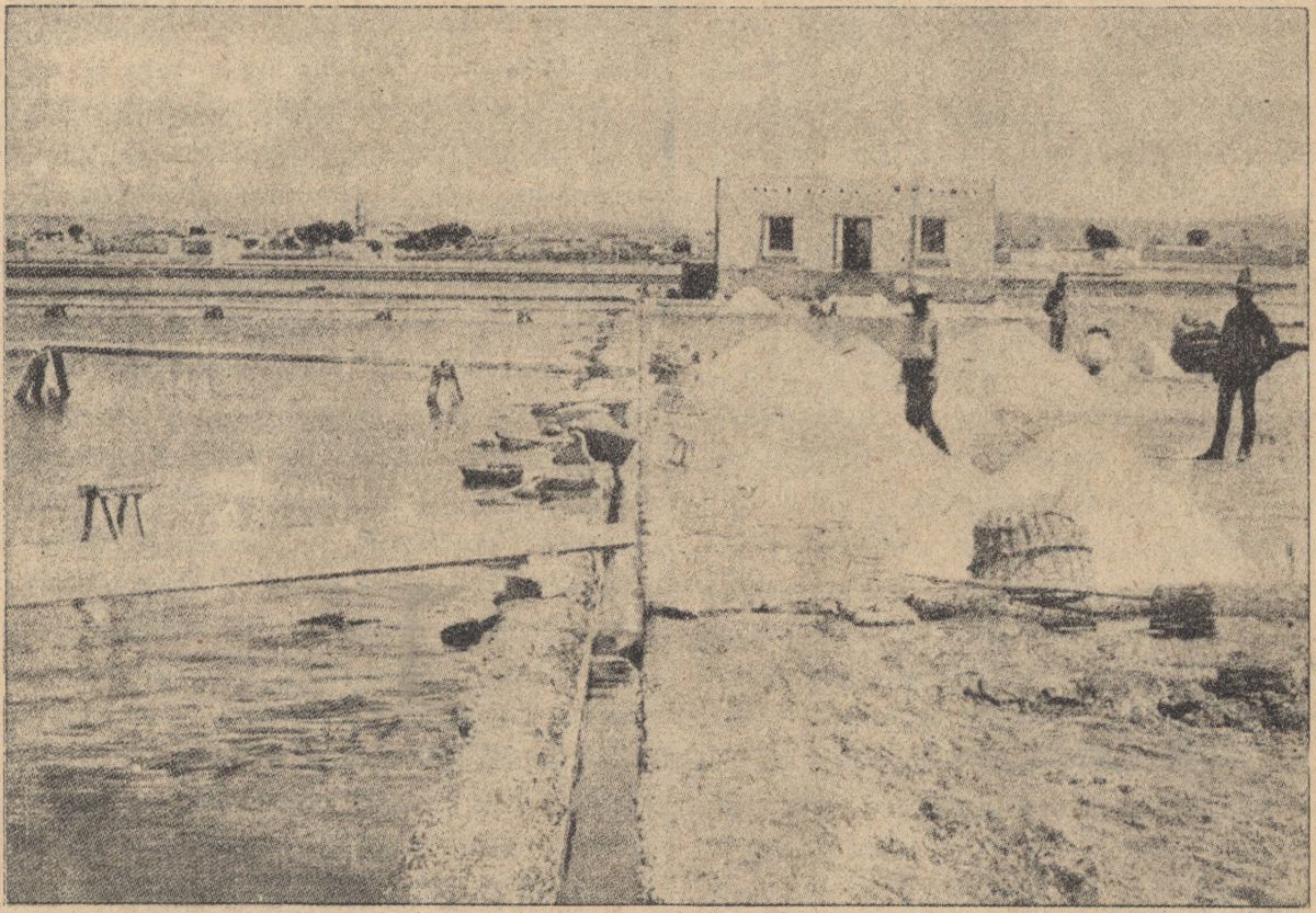 S&oacute;termel&eacute;s Afrik&aacute;ban