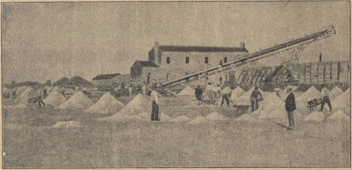 Az &ouml;sszegyűjt&ouml;tt s&oacute; a rakt&aacute;rakba, onnan a tiszt&iacute;t&oacute;ba ker&uuml;l