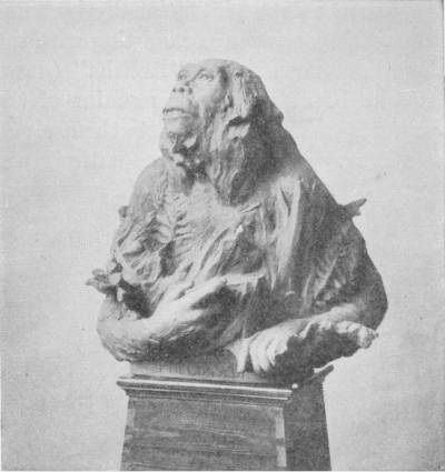 A THEORETICAL RESTORATION OF THE PITHECANTHROPUS ERECTUS BY
 PROF. RUTOT