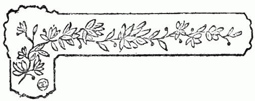 barra decorativa cap�tulo XV