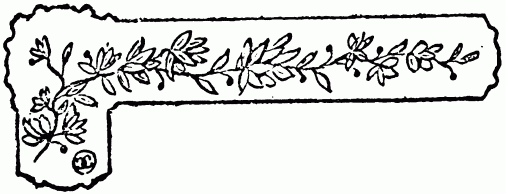 barra decorativa cap�tulo XVI