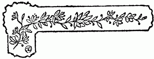 barra decorativa cap�tulo XXVI