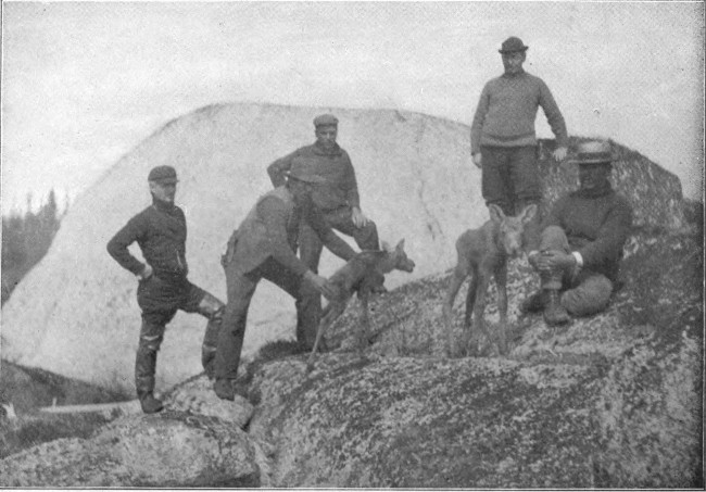 TWIN MOOSE CALVES, THREE DAYS OLD.

(Taken at the Headwaters of the Liverpool River, Nova Scotia.)

Photographed from Life.