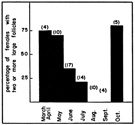 Fig. 5. The seasonal occurrence of enlarged ovarian
follicles in females