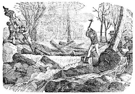 A
man chopping down a tree