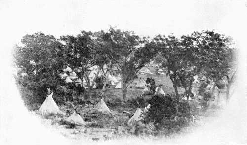 A CAMP IN A COTTONWOOD GROVE

Photograph not identified, but probably made by J. D. Hutton